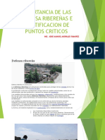 305025979-Importancia-de-Las-Defensa-Riberenas.pptx