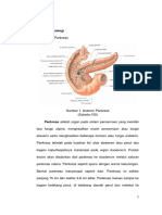 Anatomi Fisiologi Pankreas dan Empedu
