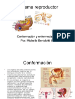 Sistema Reproductor