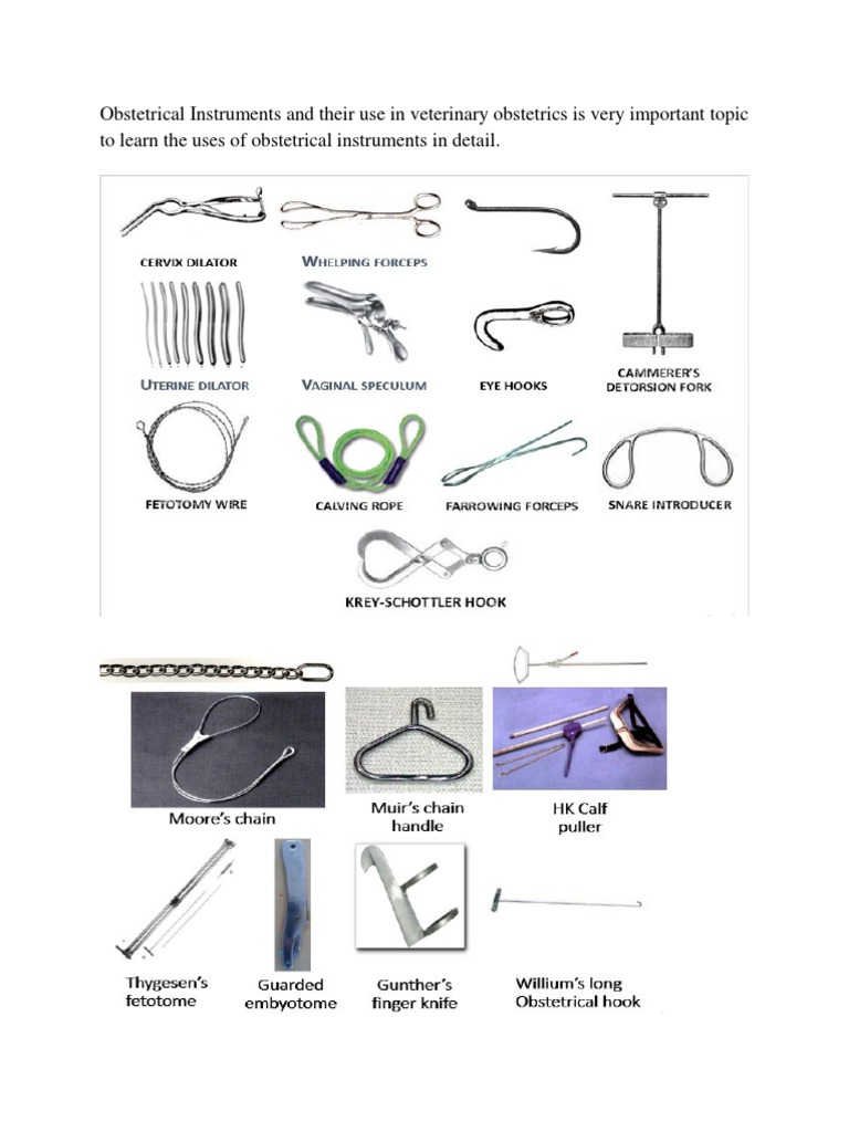 Obstetrical Instruments and Their Use in Veterinary Obstetrics PDF