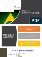 SLIDE- DIREITO CONSTITUCIONAL (1)