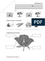 NS2 Nac Plants Worksheet 4 3