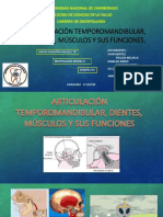 Atm, Dientes, Músculos