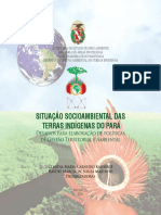 Situação Socioambiental das Terras Indígenas do Pará - 244 Págs.pdf