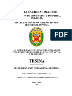 Tesis Seguridad Ciudadana - Puno - 2018 PDF