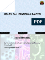 Isolasi Dan Identifikasi Bakteri PDF