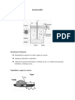 Proceso de flotación de minerales.