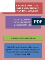 14 Presentasi Katabolisme Dan Anabolisme Karbohidrat-2