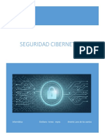 Seguridad Cibernetica