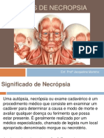 Técnicas de Necropsia: Instrumental e Procedimentos