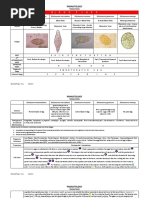 Cestodes Classification and Identification | PDF | Parasitology ...