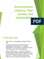 Environmental Problems Their Causes and Sustainability