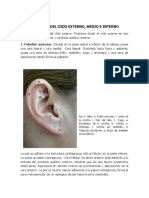 Anatomía del oído externo, medio e interno