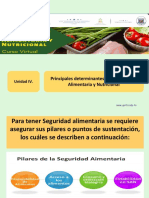 Pilares y factores que condicionan la Seguridad Alimentaria y Nutricional [Autoguardado].pptx