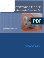 Family System An