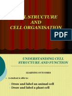 1.1 Cell Structure