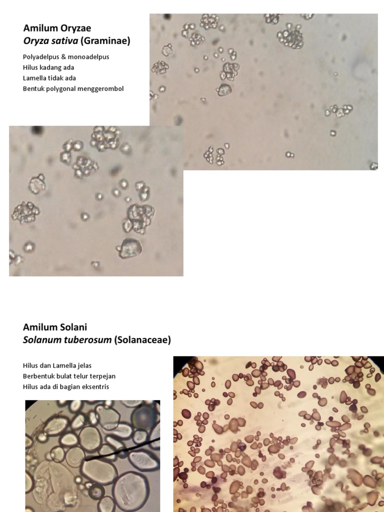 Veb-kamera oldida yosh er-xotin