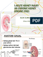 CKD 1