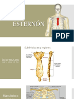 ESTERNÓN