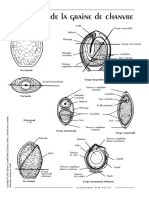 echosn14p7.pdf