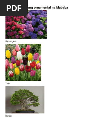 Halamang Ornamental Na Mababa Pdf