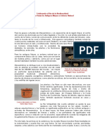 Biodiversidad Maya.pdf