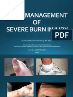Early Management of Severe Burn