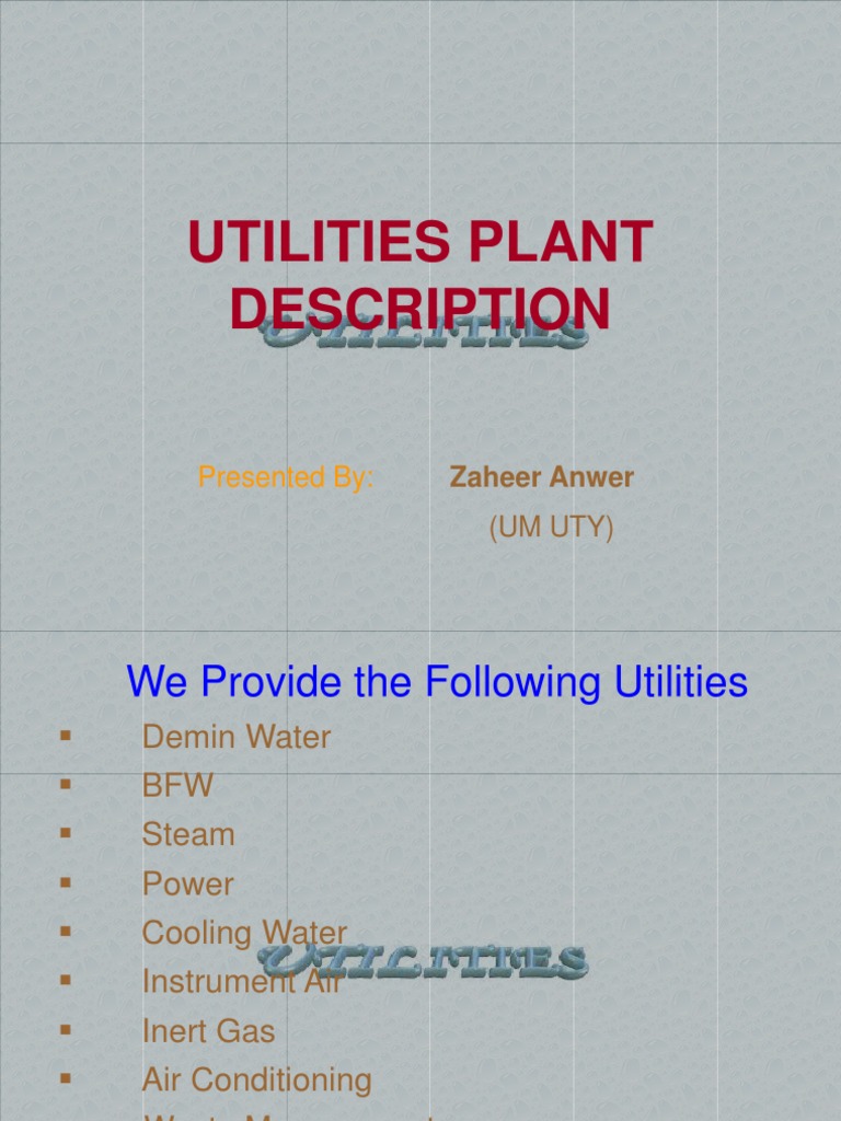 Utility Plant PDF