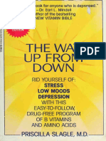 The Way Up From Down - A Safe New Program - Slagle, Priscilla PDF
