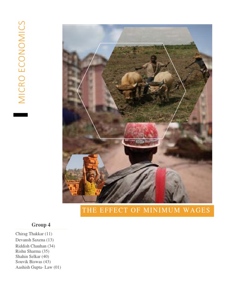 The Effect of Minimum Wages | PDF