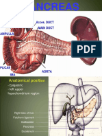 Pancreas Eman 2020