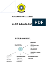 Adaptasi Dan Jejas Sel 1 - FIF