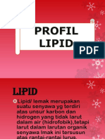 Profil Lipid