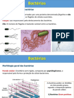 Bactérias.pptx