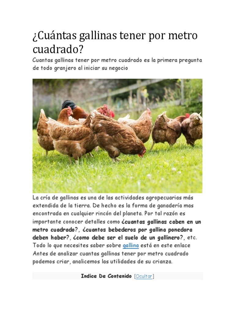 Cuantas Gallinas Entran Por Metro Cuadrado
