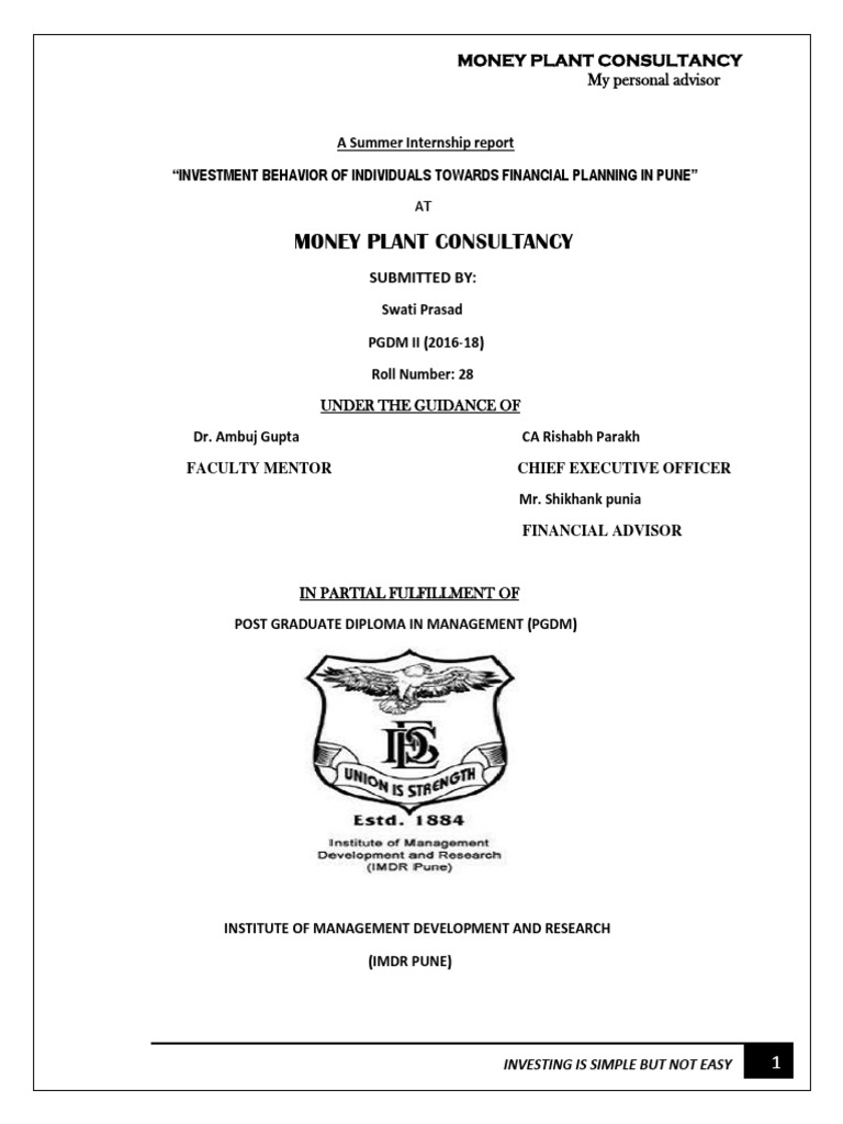 "Investment Behavior of Individuals Towards Financial Planning PDF