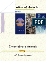 Invertebrate Animals (6TH Grade Science)