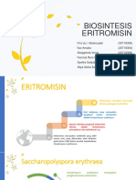 BIOSINTESIS ERITROMISIN