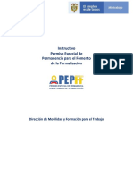 Instructivo-PEPFF.pdf