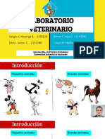 Laboratorio Veterinario