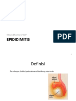 Epididimitis MGG 2 Malvin