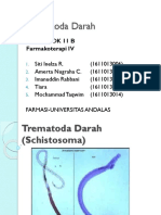 Kel 11 Trematoda Darah