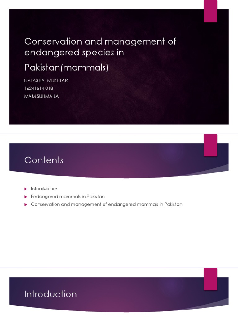 Conservation and Management of Endangered Species in Pakistan (Mammals ...