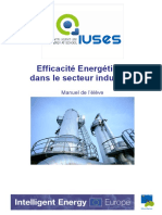 efficacite_energetique_dans_le_secteur_industriel_313494.pdf