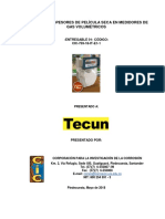 CIC Tecun Web PDF