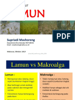 Lamun - Supriadi Mashoreng 2019