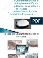 RIESGO DE EXP. AL Hg-2013 (1).ppt