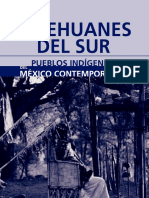Tepehuanes Sur PDF