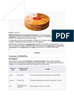 Prince2 Document