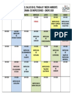 04.- CRONOGRAMA DE INSPECCIONES - ENERO 2020